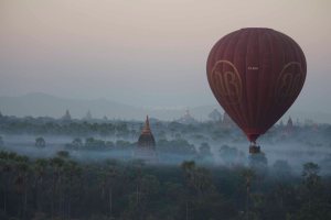 © Carole Scott 2013