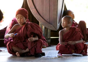 © Carole Scott 2013