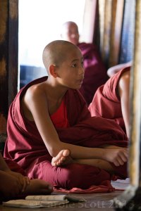 © Carole Scott 2013