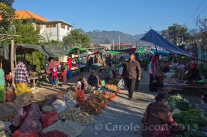 © Carole Scott 2013