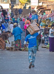 © Carole Scott 2013