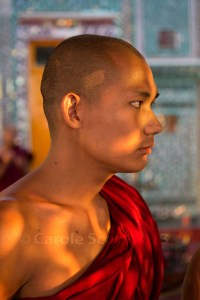 I love the light in this shot