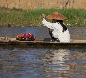 Inle36