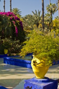 © Carole Scott 2013