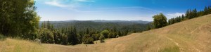 Humboldt Panorama © Carole Scott 2013